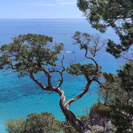 Apartman Cuile Casari *