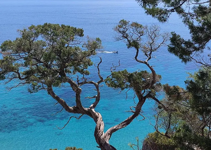 Апартаменты Cuile Casari *