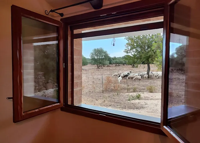 Cuile Casari Доргали