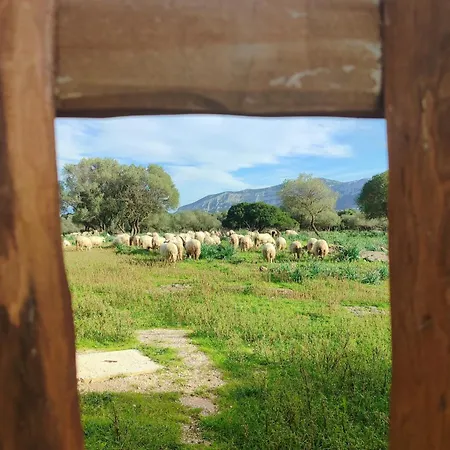 Cuile Casari Apartment *