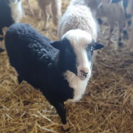 Cuile Casari Lägenhet Dorgali