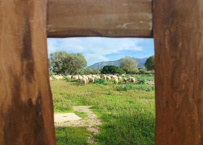 Cuile Casari Apartment *